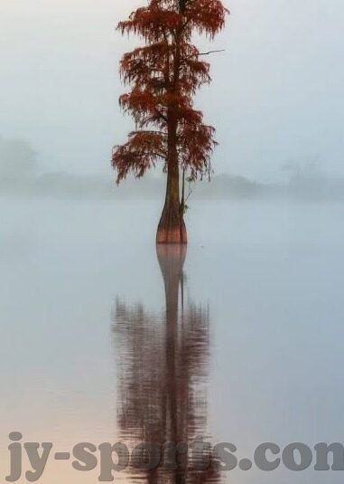 006比分直播足球-006比分直播足球，实时追踪，激情共享的绿茵盛宴